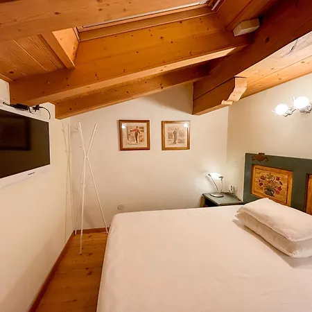 Attico Cardo 19